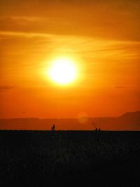 Field against sky during sunset