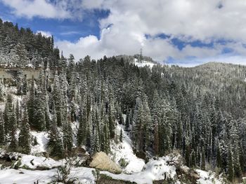 Snow covered land and trees against sky