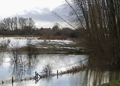 Scenic view of lake against sky during winter