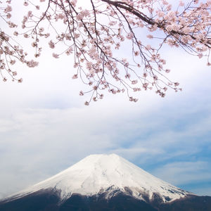 Low angle view of snowcapped mountain against sky