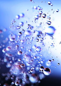 Close-up of water drops on glass