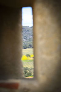 Close-up of yellow wall of building