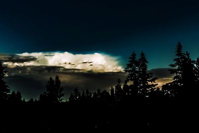 Low angle view of silhouette trees against sky at sunset
