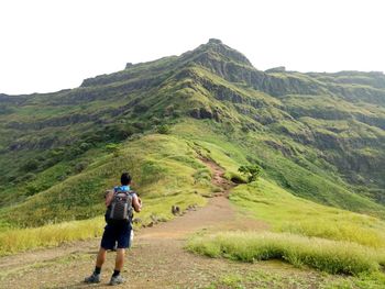 Rear view of hiker walking on mountain road