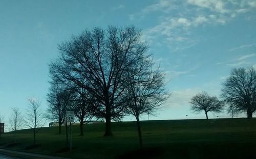 Bare trees on field