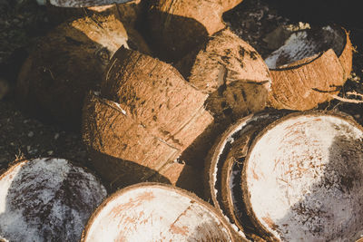 Full frame shot of logs in forest