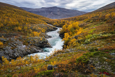 Stream flowing through a valley