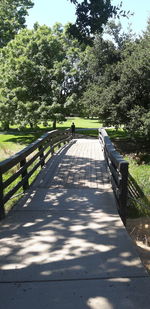 Footpath amidst trees in park during sunny day