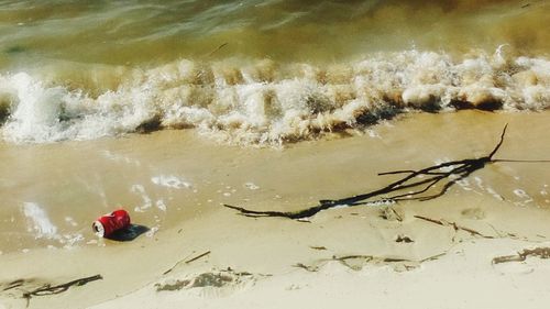 People swimming in sea