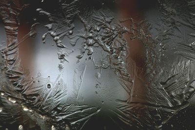 Close-up of water drops on window