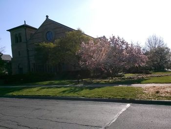 View of lawn with buildings in background