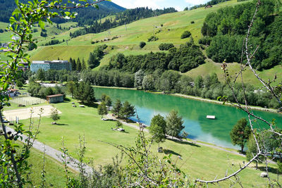 High angle view of lake and trees