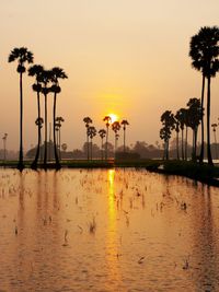 Silhouette palm trees against sky during sunset