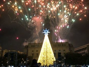 Illuminated christmas tree at night