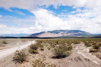 Scenic view of desert against sky