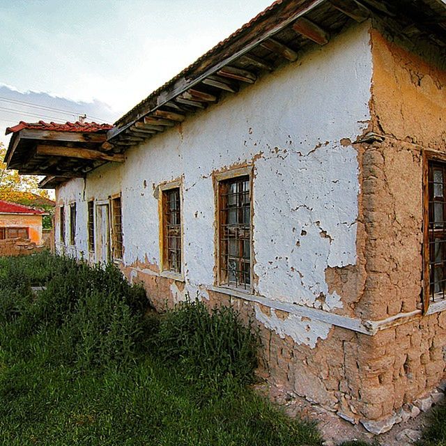 architecture, built structure, building exterior, house, window, old, residential structure, abandoned, residential building, plant, weathered, building, low angle view, damaged, obsolete, run-down, day, wall - building feature, deterioration, ivy