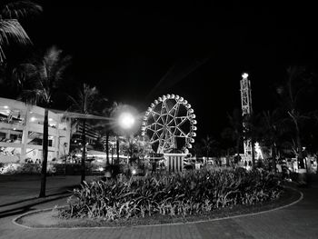 Illuminated ferris wheel at night