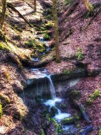 Scenic view of waterfall in forest