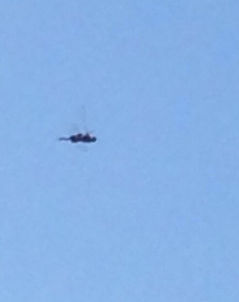 LOW ANGLE VIEW OF AIRPLANE FLYING IN CLEAR BLUE SKY