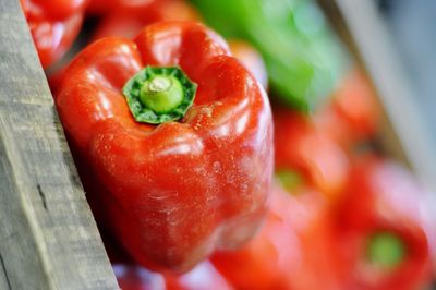 Close-up of red bell peppers