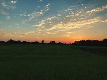 Scenic view of agricultural field against sky during sunset