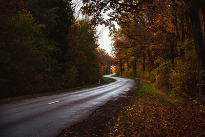 Empty road along trees in forest