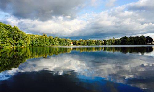 Reflection of trees in lake against cloudy sky