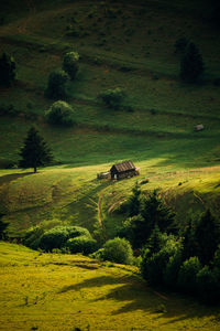 Scenic view of rural landscape