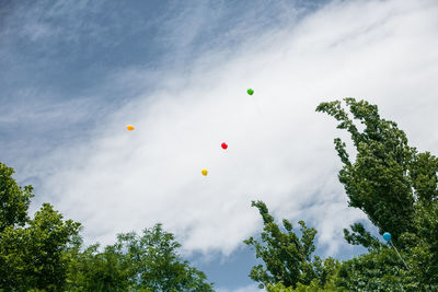 Multicolored balloons in the cloudy sky on the background of branches with green leaves