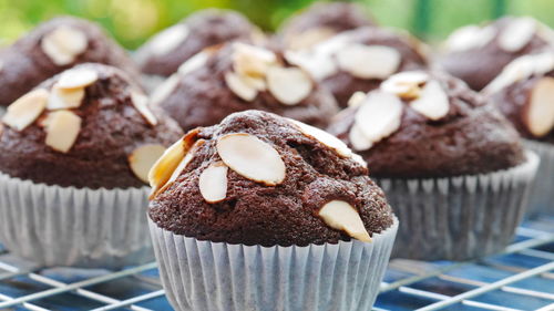 Close-up of chocolate cake