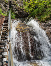 Scenic view of waterfall in forest