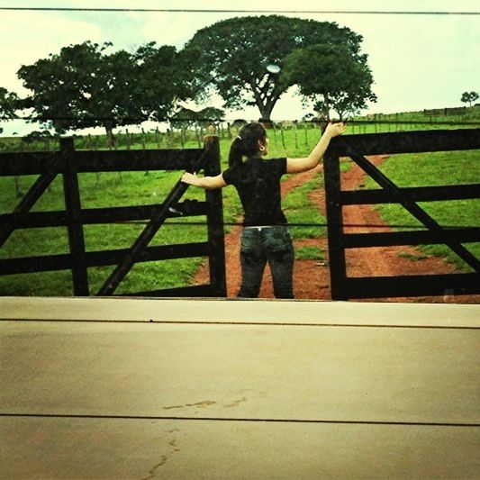 tree, railing, fence, lifestyles, full length, leisure activity, childhood, shadow, standing, sunlight, green color, park - man made space, men, day, grass, outdoors, walking, yellow