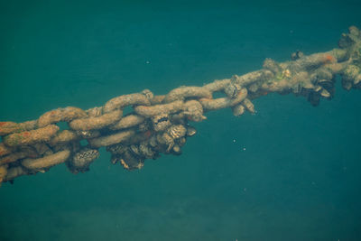 High angle view of blue sea and chain