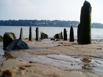 Surface level of wooden posts on beach against sky