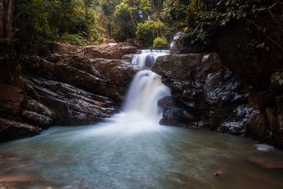 View of waterfall in forest