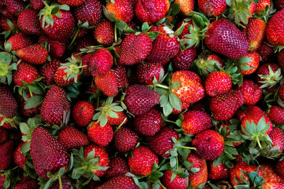 Full frame of strawberries