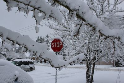 Text on snow covered tree