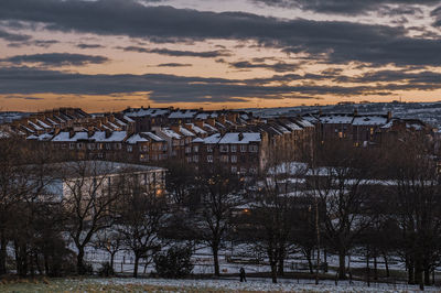 Bare trees and buildings against sky during winter