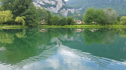 Scenic view of lake