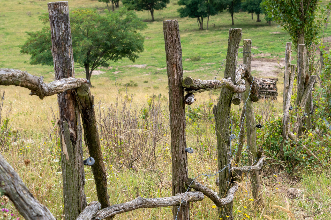 WOODEN FENCE ON FIELD