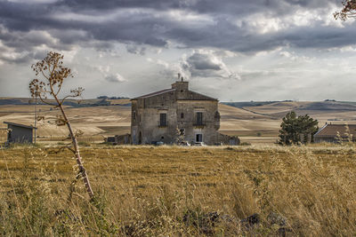 House and tipical wild fennel in apulian murgia
