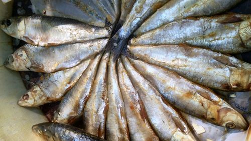 Close-up of fish for sale in market