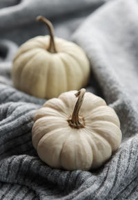 White decorative pumpkins on the background of a gray wool sweater. cozy autumn concept