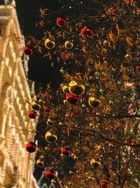 Close-up of christmas tree