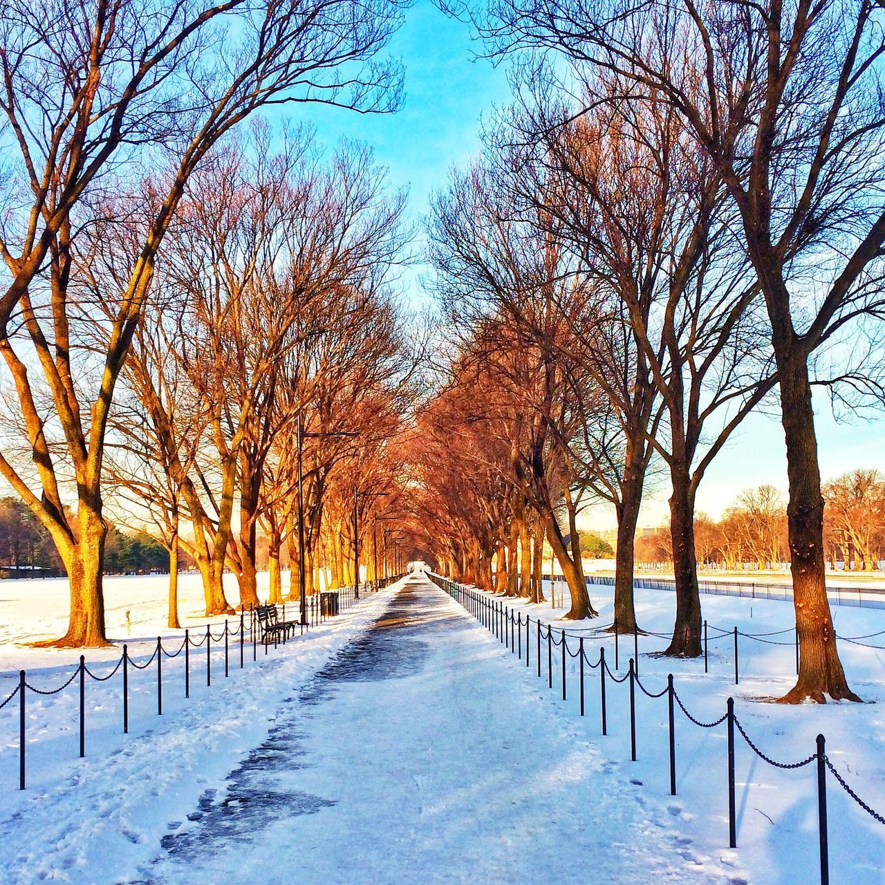 snow, winter, cold temperature, season, the way forward, tree, diminishing perspective, bare tree, weather, covering, tranquility, tranquil scene, nature, vanishing point, beauty in nature, landscape, scenics, road, branch, covered