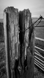 Close-up of wood on beach against sky