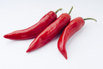 Close-up of red chili pepper against white background