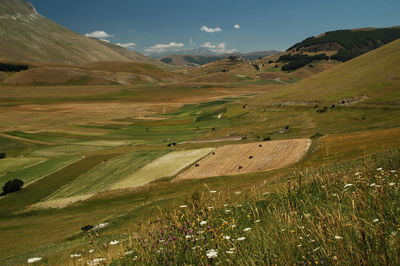 Scenic view of landscape against sky