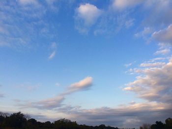 Low angle view of trees against blue sky