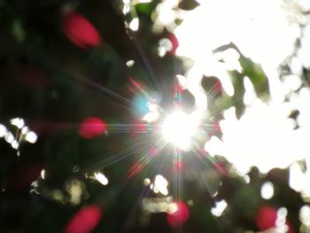 Sun shining through clouds